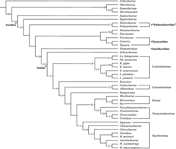 �����Ƶ��ݻ���ϵͼ�����ؿ���ͼ��