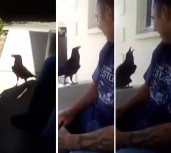 ӸѻкHello һ䡰Fuck you