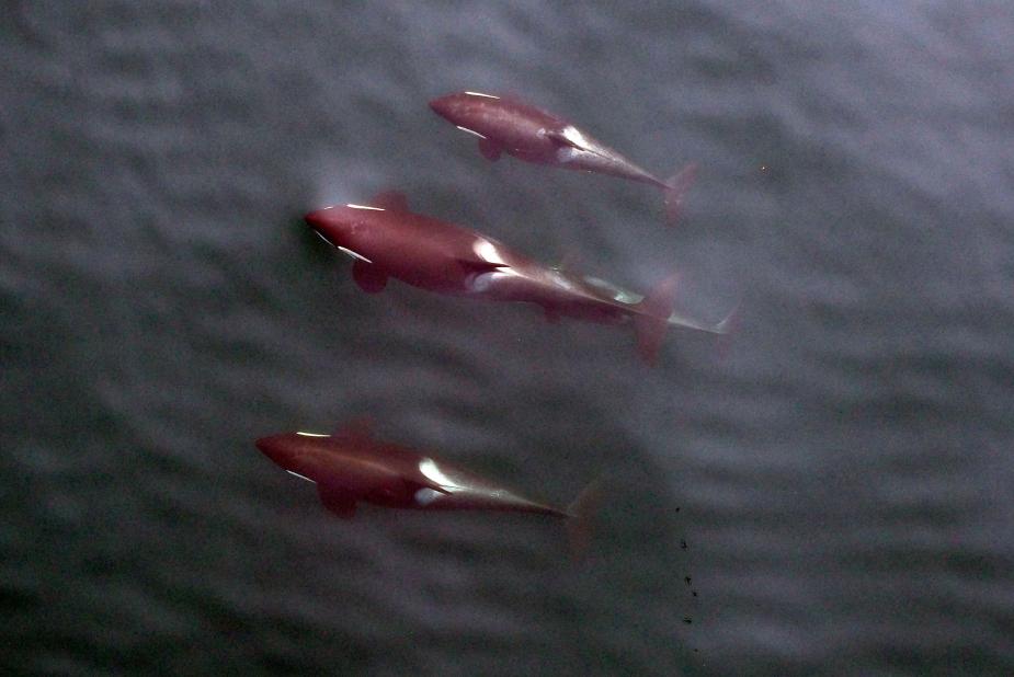 ���˻���¼��ꪾ����ճ���Ϊ�ͽ���״��