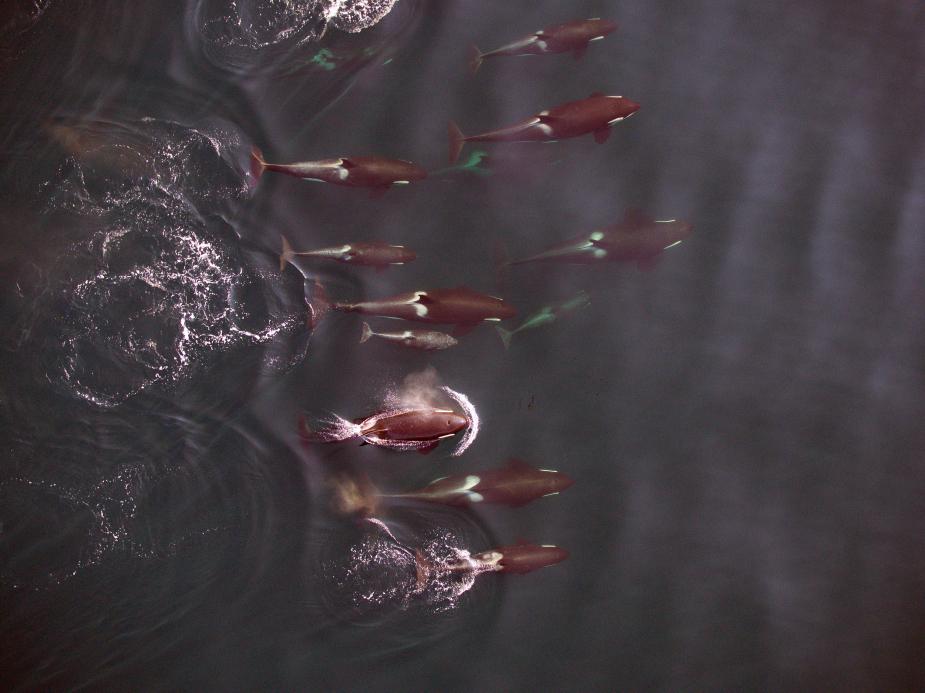 ���˻���¼��ꪾ����ճ���Ϊ�ͽ���״��