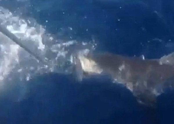 ���������㡰��������һ��ʱ�䣬�Ű������ϴ���