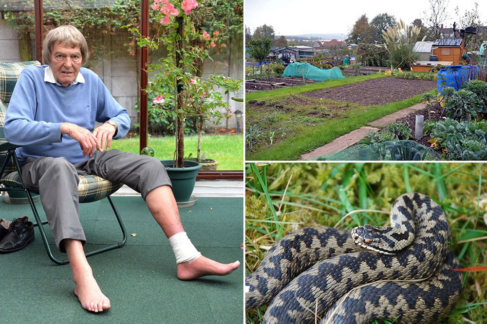 Ӣ��74���Ϻ����Լһ�԰�ж���Ϯ���������Ȳз�