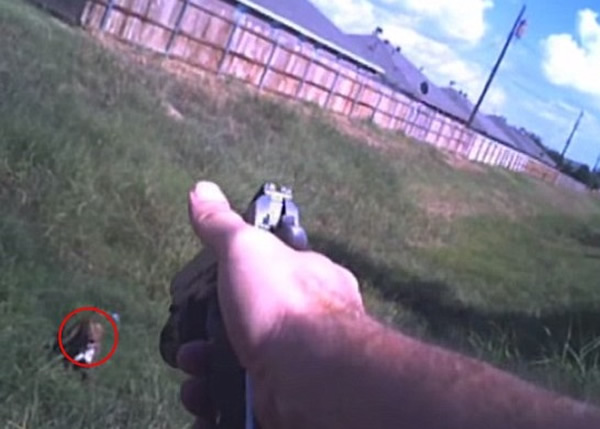 ��Ա��ɱһֻ������׼��һֻ����