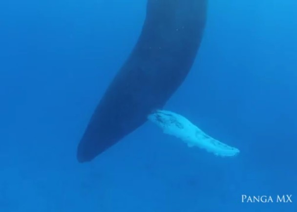 Ƭ����ʾ��������ͷ����ȡ�������С���˯����֡�