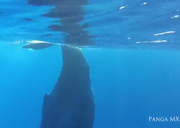 β������ˮ�档