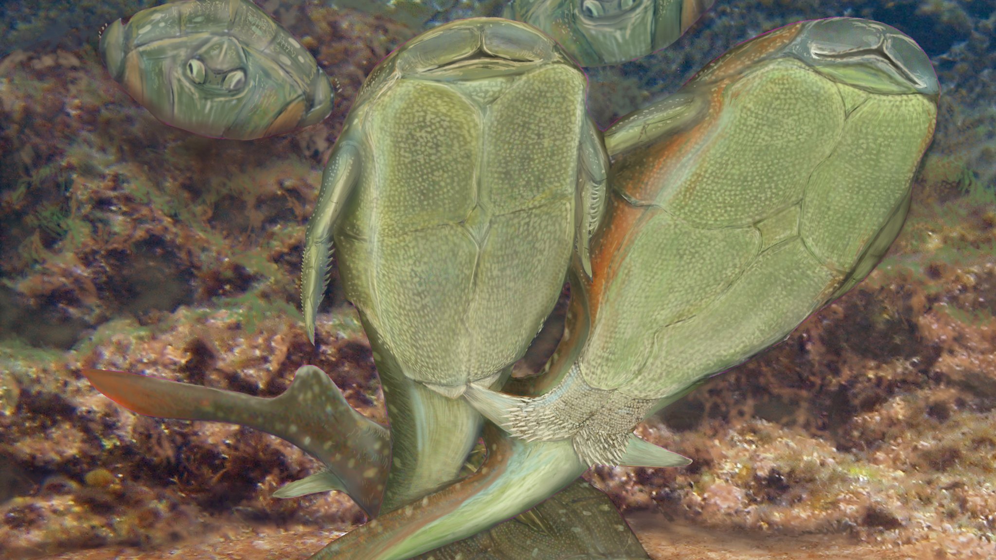 ޿ѧҷֵһֻԽĶ賓3.85ǰƤٵС֫