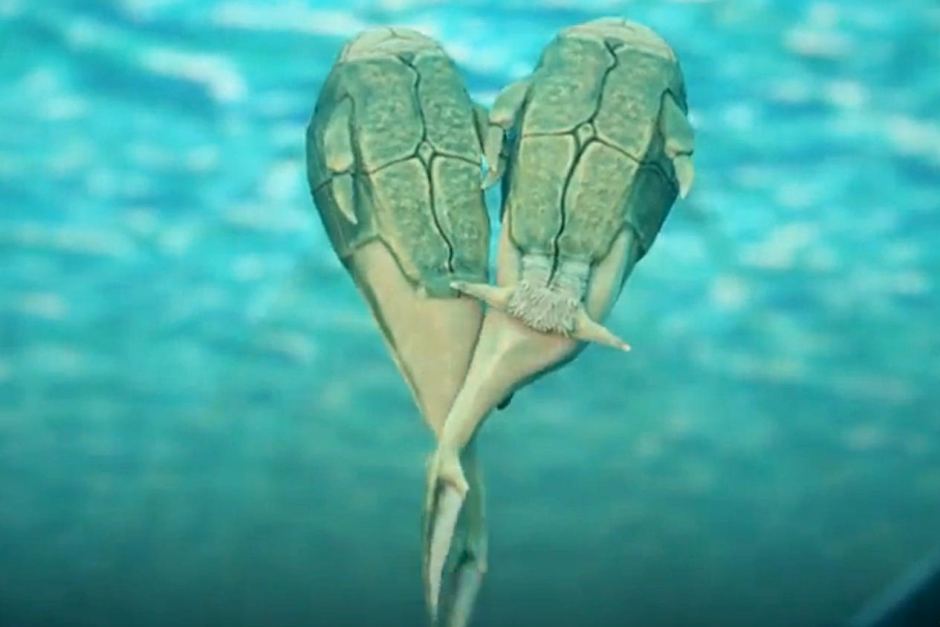 ޿ѧҷֵһֻԽĶ賓3.85ǰƤٵС֫