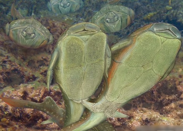 С֫���������͸���Խ���������ͼΪС֫�㽻���ģ��ͼƬ��