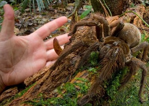 ֩����·ʱ���ᷢ�����������������