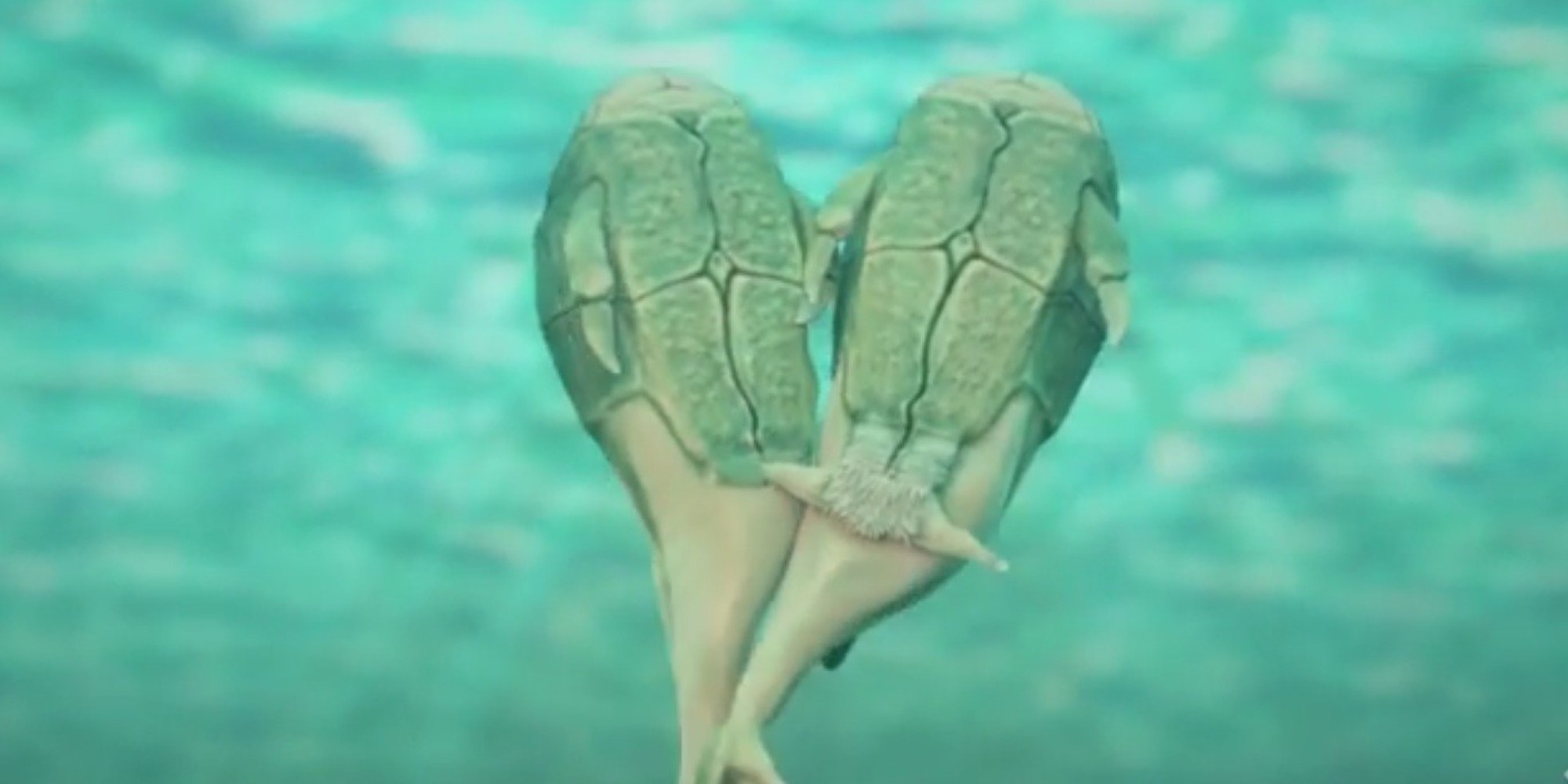 科学家已经发现通过交尾进行体内受精的最早实例