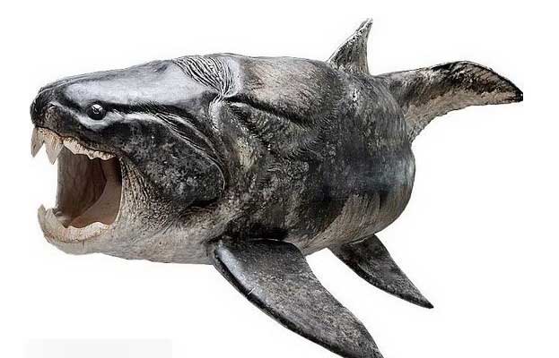 盾皮鱼纲(Placodermi)是一类已经灭绝的鱼类,大约生活在志留纪到泥盆纪,共繁衍了近7000万年。