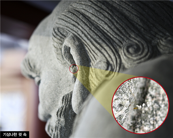 �Ϻ�һ��ѧУ��18�޺�ʯ���з���ǧ���Ѽ��ġ�������ޡ�