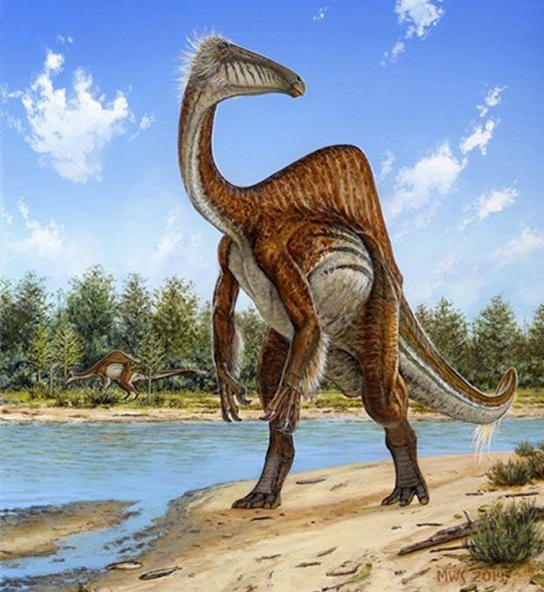 ��ȫ�޸�����������������ò���˾��ÿ�Ц��