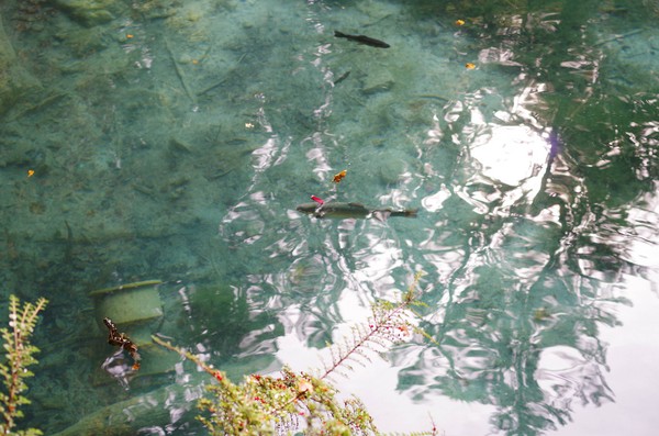 ��ʿ�����ں��������ĵ�һ������ͷ���·�����һ�Ѻ�ɫ����ʿ����