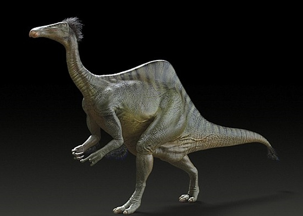 ��ѧ���������������ɵ��ɵ��