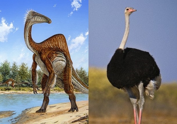 ��ָ�������������̬����������