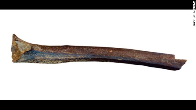 德国古人类学家成功重组4.5万年前人类的基因组