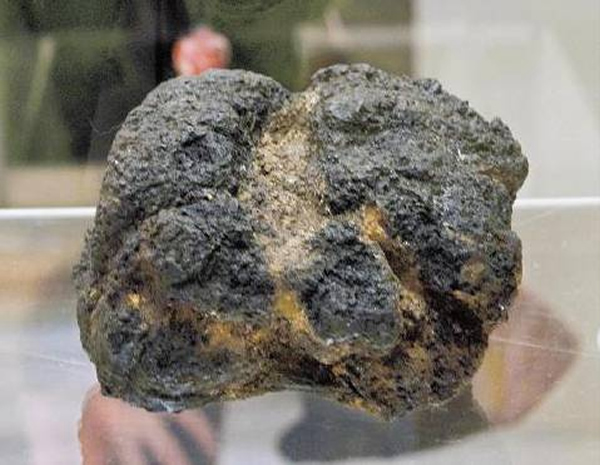 日本展出史上最古老饭团