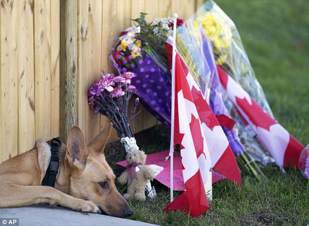 加拿大忠犬不知主人已牺牲仍在门口耐心等其回家