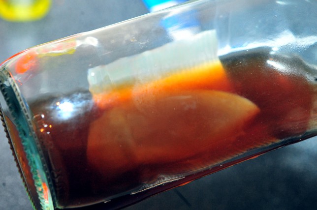 Ӣ��Ů�������ڴ�ƿ�з��֡������ˡ�