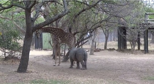 Ϭţ�������¹�棬һֱ�������ĺ��档