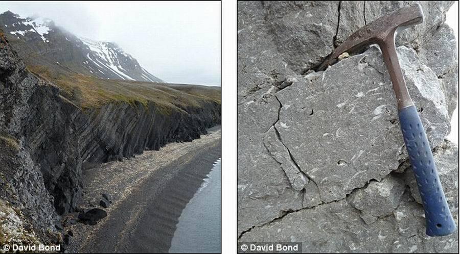 Ӣնѧ- ںͬȴѧ-ŵ˹ƥαϿ巢ֵĹʯ(ͼ)оʯ(ͼ)֤ʵһЩֻʯ