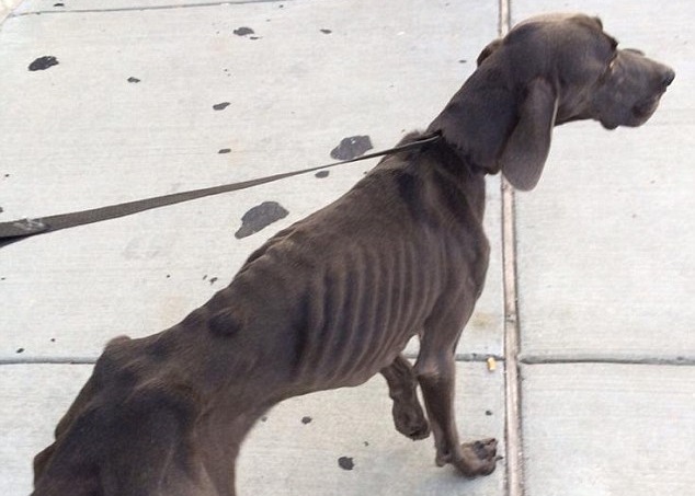 ������˹������ʱ�����ݹ����