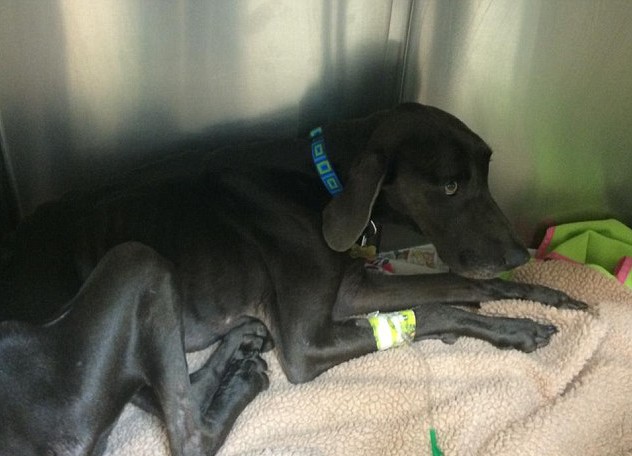 ����Ȼ�����ְԱ��������˹�ļ�ǿ��������о���