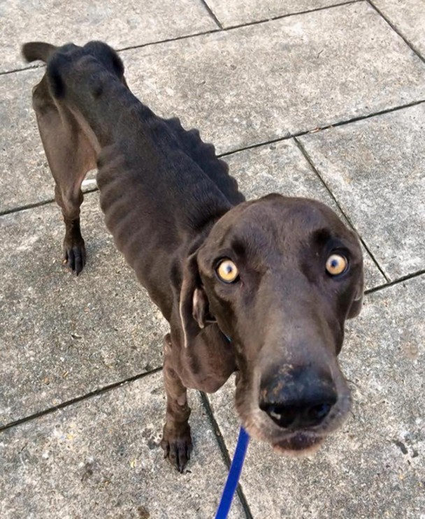 ������˹��㱻�˵�����