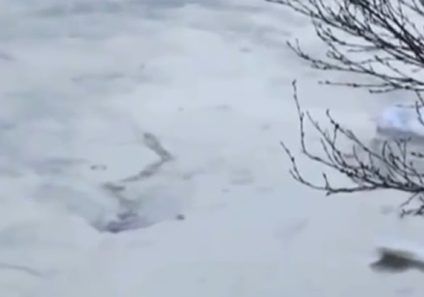 һӰʦ2ǰڶӶĵƵش˵бֵӰ