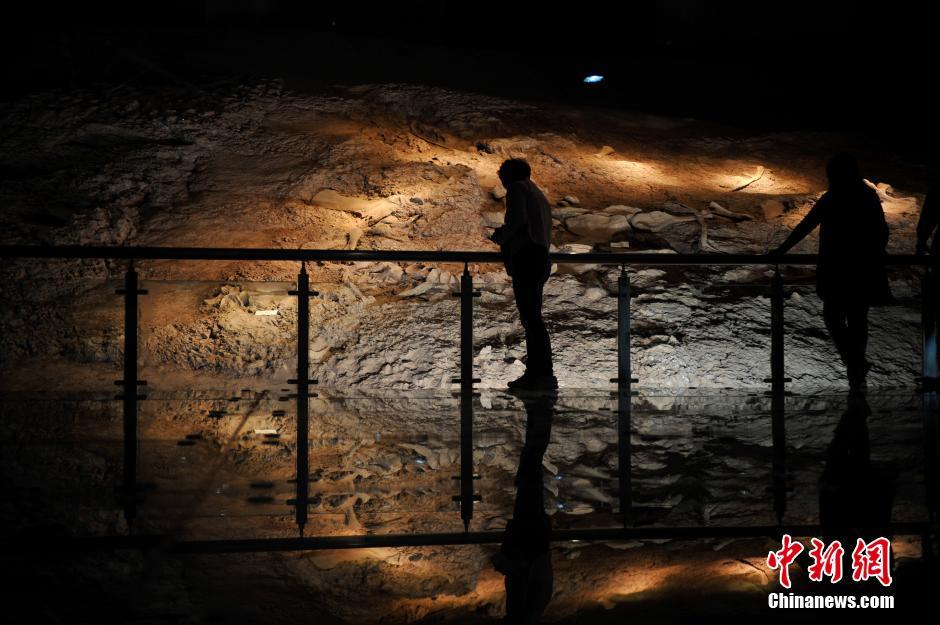 »٪زзֵǻ֡»̹ŵ