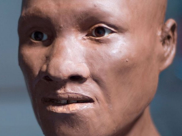 中外科学家测序最古老人类基因组