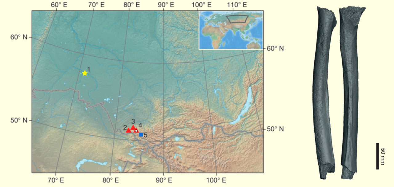 һ4.5ǰĹɹǲΪֹϵִ˻