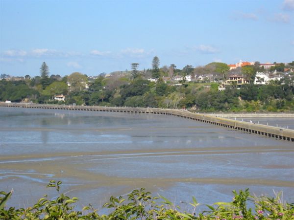 ͼΪ��ʵ�еĻ���ɭ��