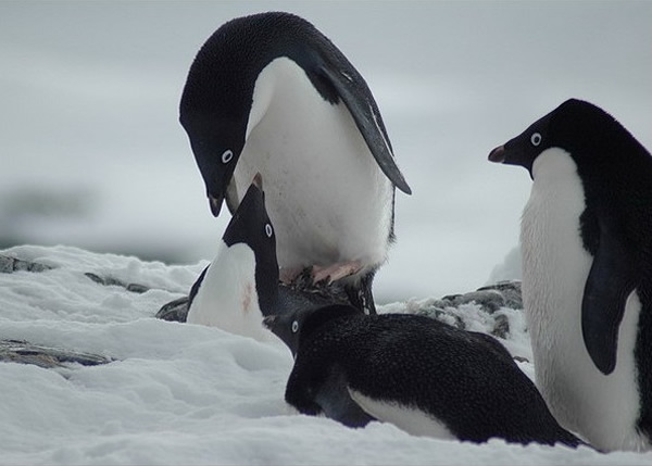 Ӣ���ѹ�̽�ռҵ��ϼ����б����ع⣺�������ֲֿ����