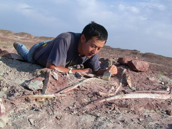 徐星研究员在新疆准噶尔盆地侏罗系地层中采集恐龙化石