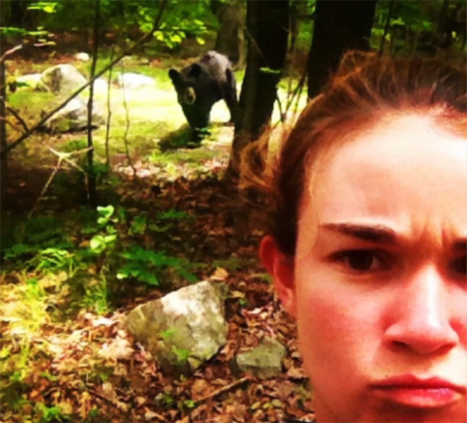 美国登山客最近兴起一股与熊自拍的歪风