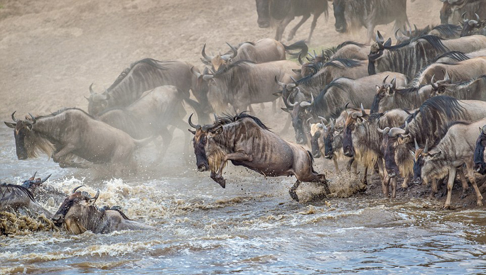 Ϊȷ���Լ���������Ե��򱻼������ߣ�������Ҫ����Ծ��3�׿��У��Ա��ܹ���ȫ����԰���