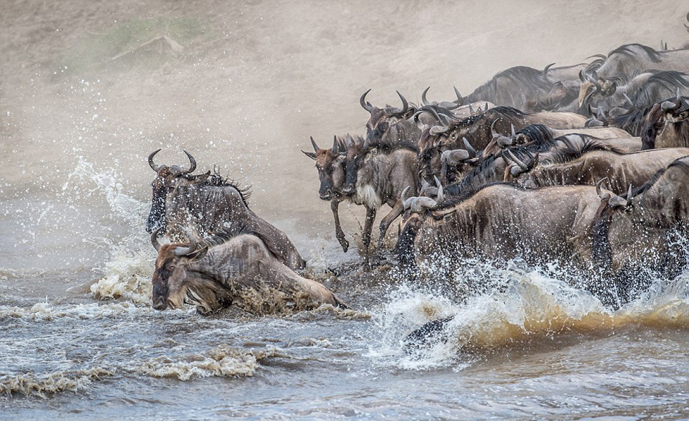 �����Ǳ�����ʱ���ģ������Լ����������ߣ��������Ǳ���ŵ�����Ϯ����