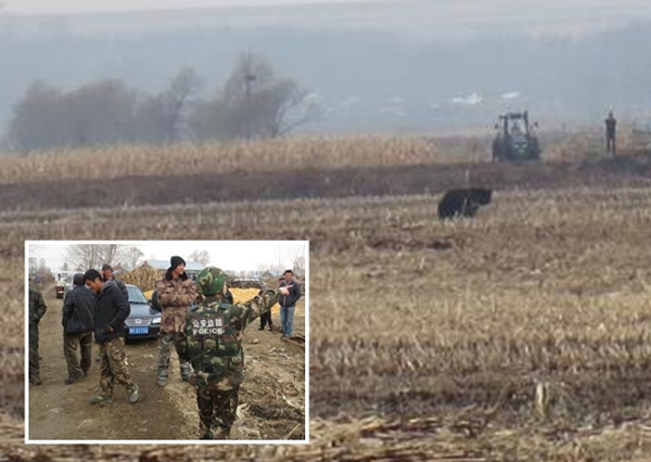 ��������ҵ�ɳ�����Ա��Сͼ������ע����ܵľٶ�