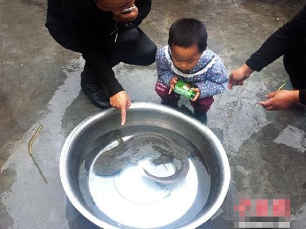 ���ٴ���ǰ��Χ�ۣ����ڴ�δ������������е���ϡ����