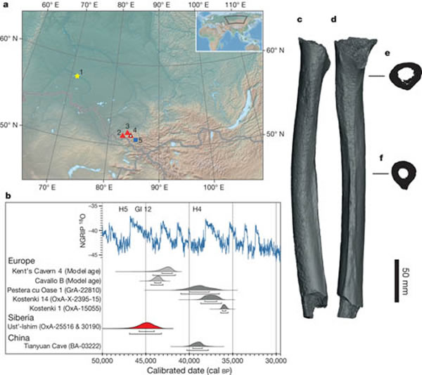 1: Ust-Ishim; 2: Chagyrskaya ; 3: Okladnikov; 4:  ; 5: Kara-Bombִ