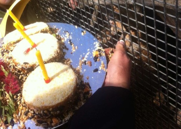 园方准备了生日蛋糕为弗雷德庆生