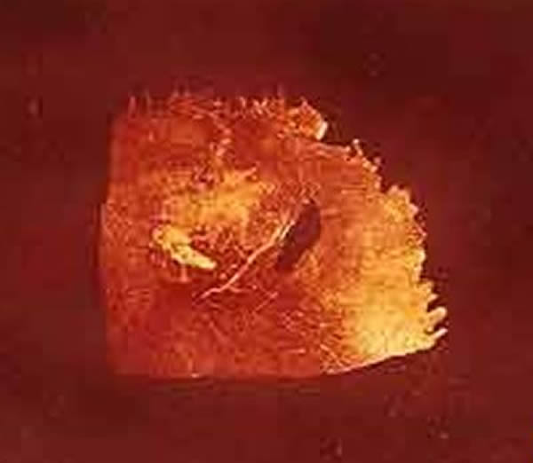 1976年遗址内发现一块小孩的右顶骨化石