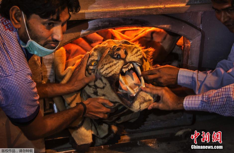 ʱ2014112գӡµӡȻԱڹҶ԰ٷǷҰƷƶƷǷóס