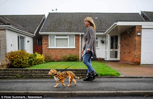 Ӣ����ͷ����С�ϻ���ԭ������ʿ����Ȯ