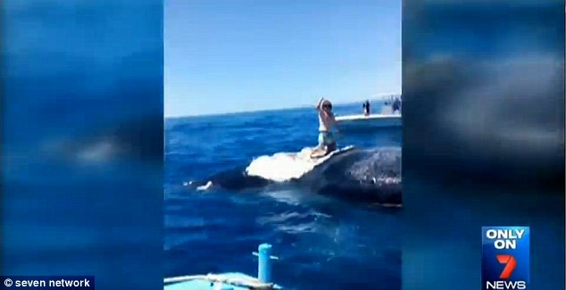 ���ޡ����С��ι����������������ͷ��ʬ��