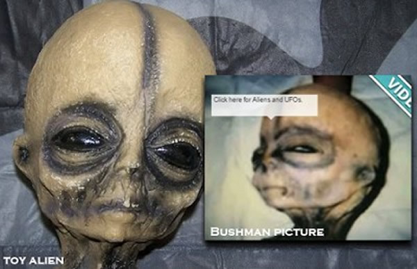 布希曼照片中外星人的眼睛是半张的,跟左边的公仔不一样。