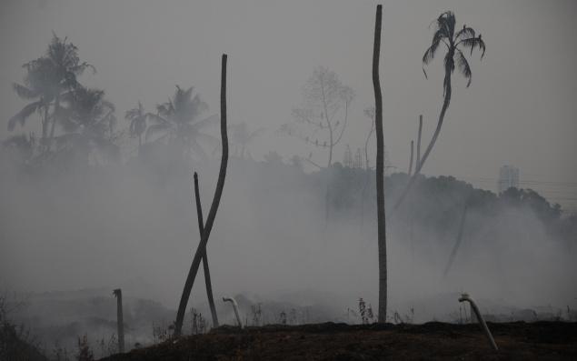 印度的空气污染与作物产量