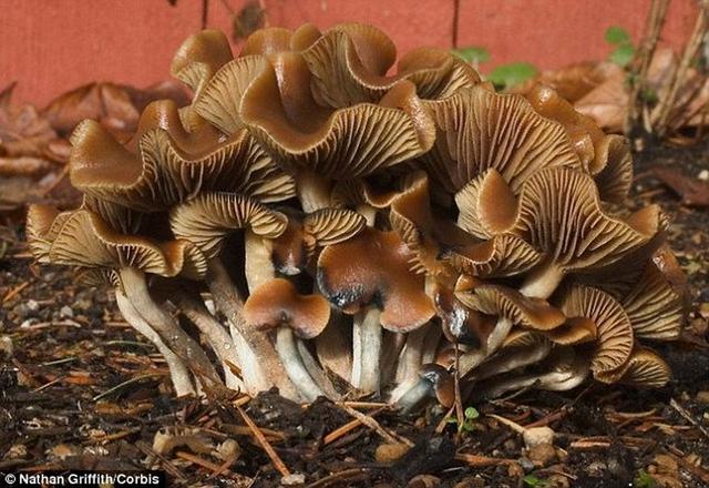 ѧо»ĢаһĻѧʣԴԲͨԸӦ